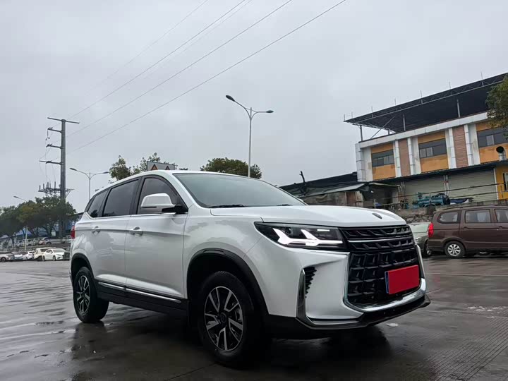 Фото 1 - Dongfeng Forthing T5