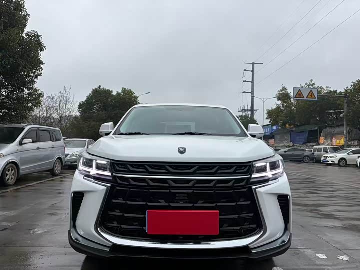 Фото 2 - Dongfeng Forthing T5