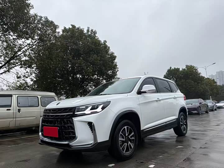 Фото 3 - Dongfeng Forthing T5