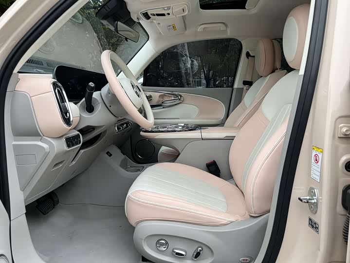 Photo 7 - Ora Ballet Cat