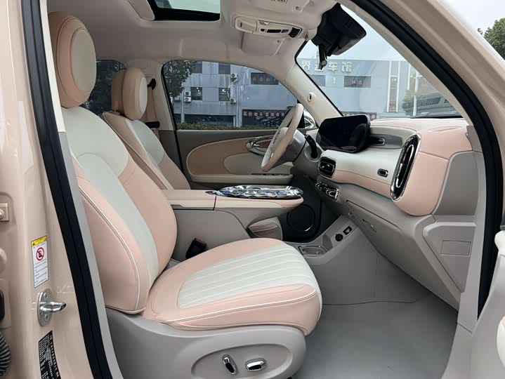 Photo 9 - Ora Ballet Cat