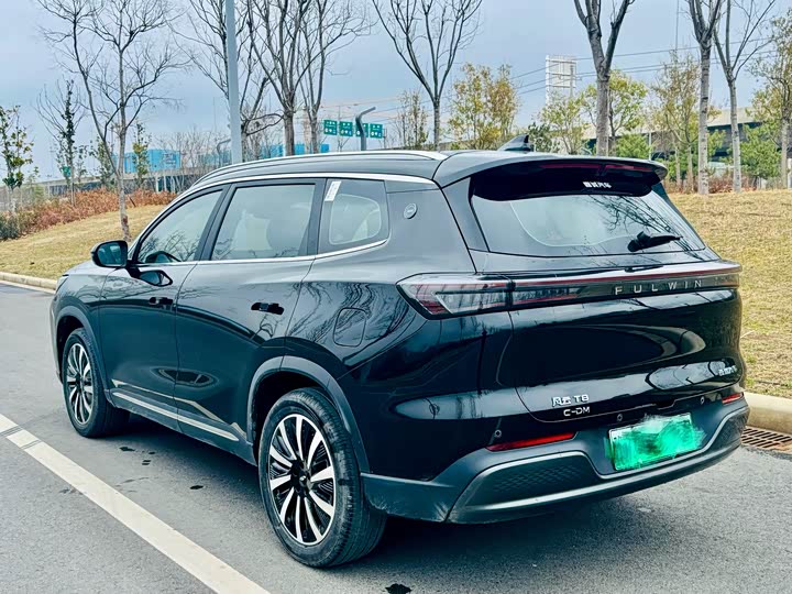 Фото 7 - Chery Fulwin T8