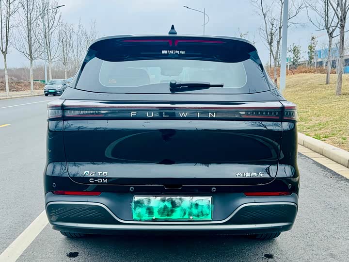 Фото 8 - Chery Fulwin T8