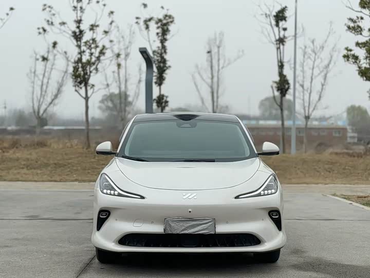 Фото 2 - IM motors LS6