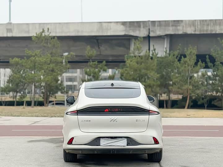 Фото 8 - IM motors LS6