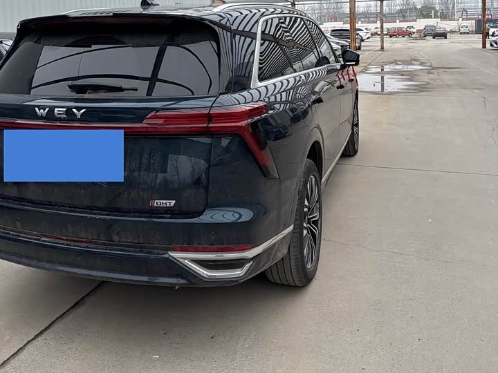 Фото 4 - Wey Lanshan