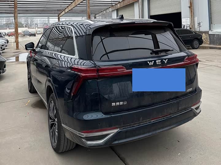 Фото 6 - Wey Lanshan