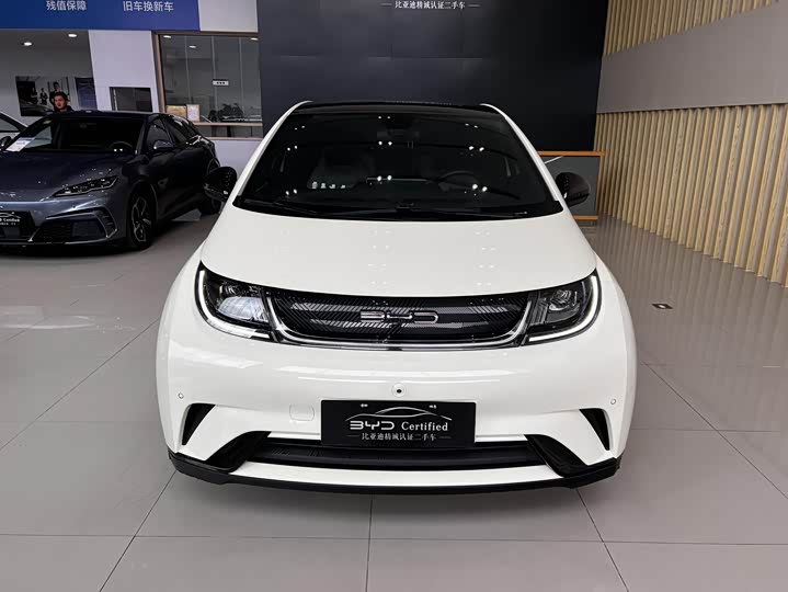 Фото 2 - BYD Dolphin