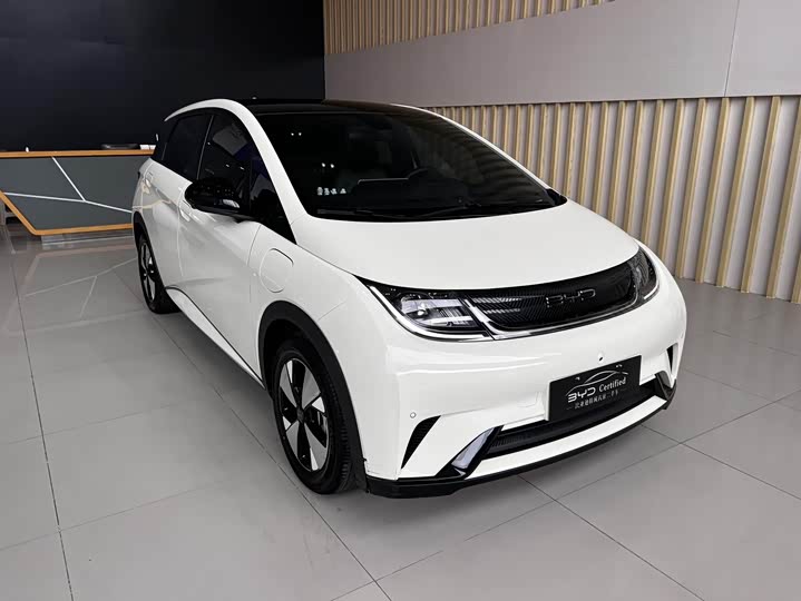 Фото 3 - BYD Dolphin