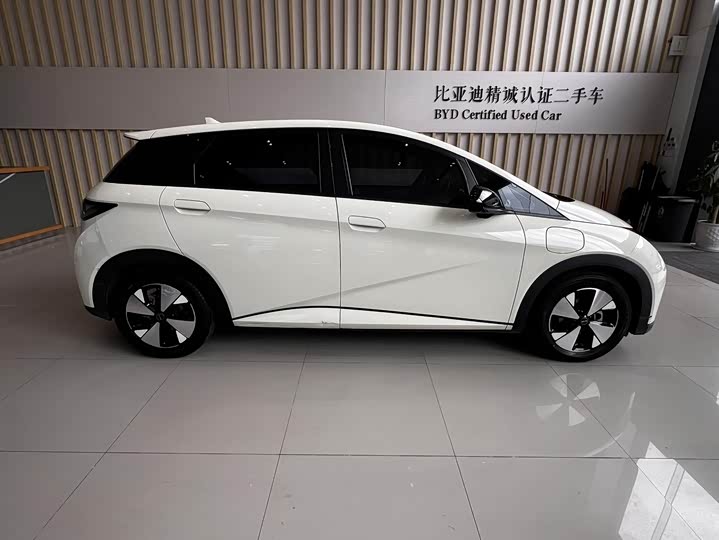 Фото 4 - BYD Dolphin