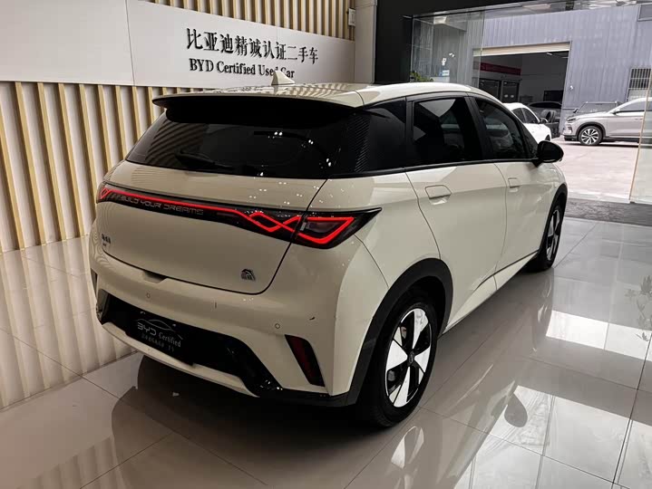 Фото 7 - BYD Dolphin