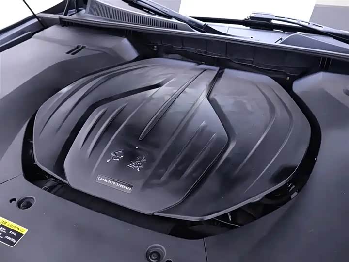 Фото 9 - Hongqi H9