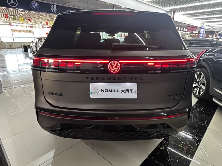 Фото 4 - Volkswagen Teramont Pro