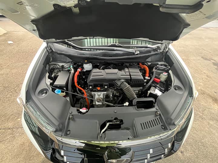 Фото 8 - Honda Elysion