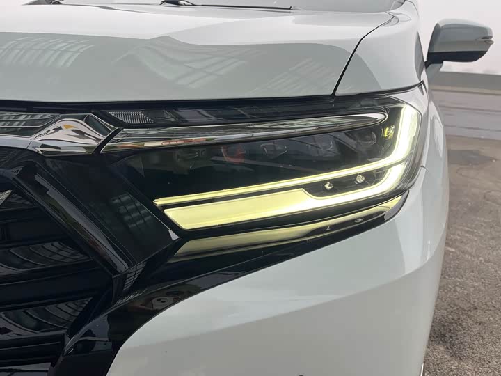 Фото 9 - Honda Elysion