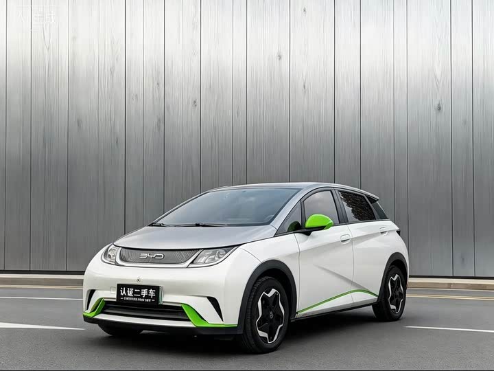 Фото 1 - BYD Dolphin