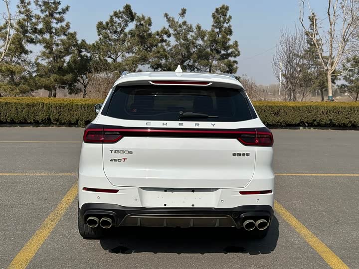 Фото 5 - Chery Tiggo 8