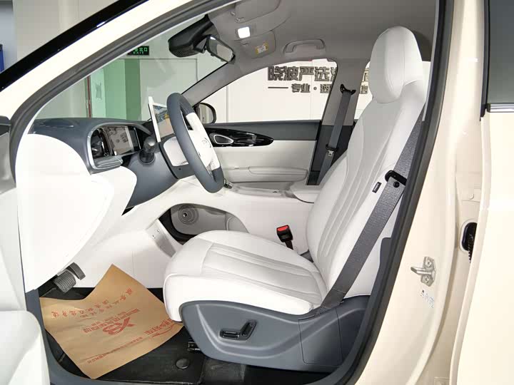 Фото 8 - Geely Galaxy Geome