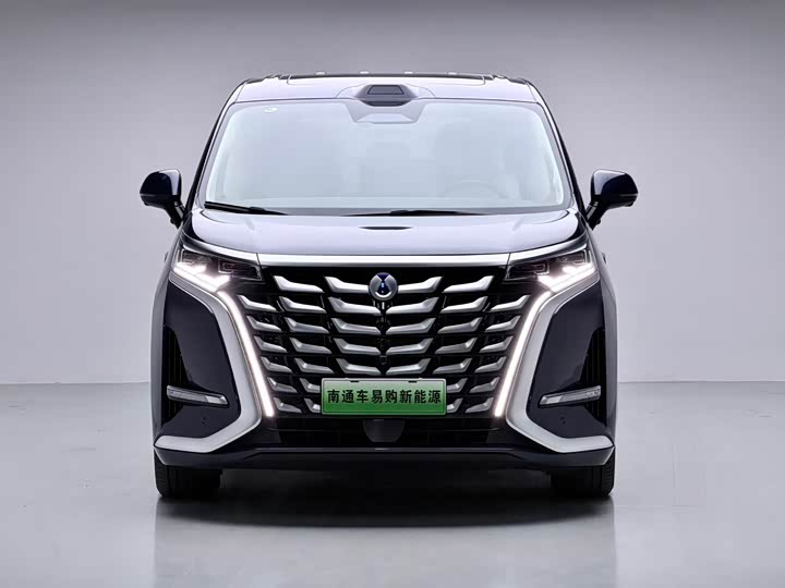 Фото 2 - Denza D9