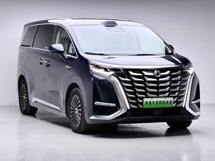 Фото 3 - Denza D9