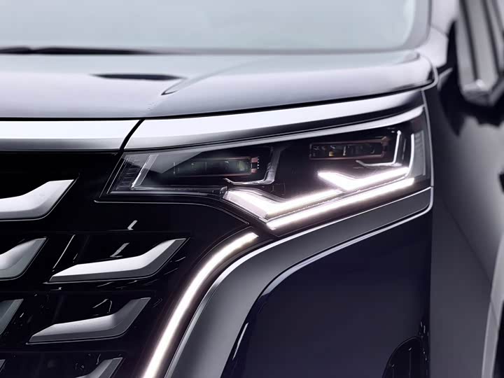 Фото 4 - Denza D9