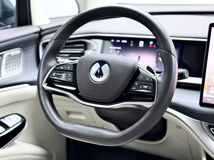 Фото 8 - Denza D9