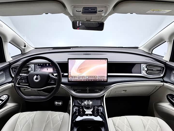 Фото 9 - Denza D9