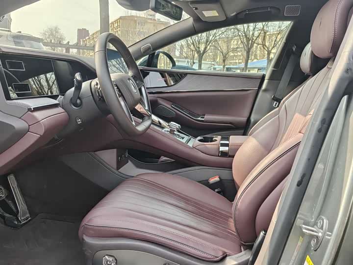 Photo 6 - Denza Z9GT