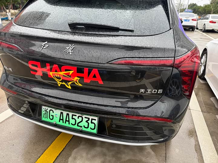 Фото 8 - Hongqi EHS5 (Tiangong 06)