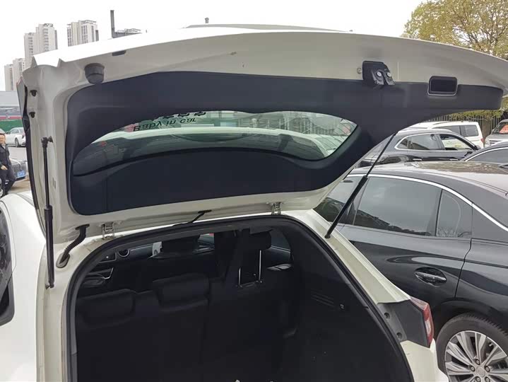 Фото 4 - Honda XR-V