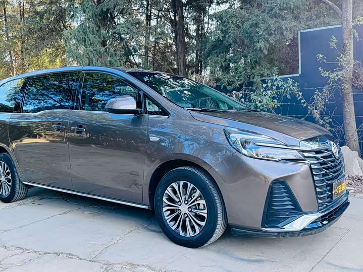 Фото 2 - Buick GL8 ES