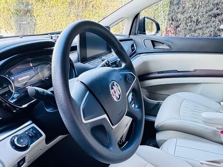 Фото 5 - Buick GL8 ES