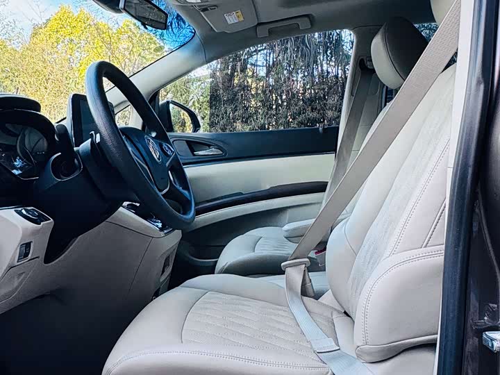 Фото 7 - Buick GL8 ES