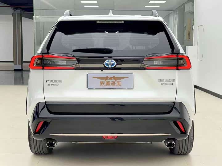 Фото 9 - Toyota Wildlander