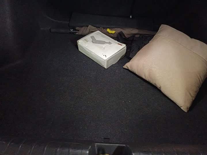 Фото 4 - Honda Civic