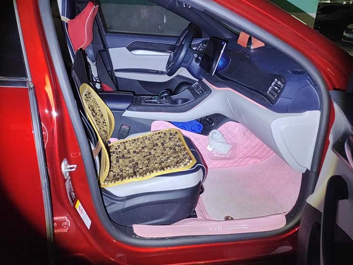 Фото 8 - BYD Qin Plus