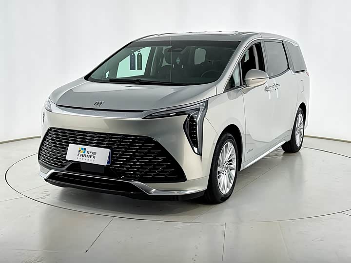 Фото 2 - Buick GL8 Century