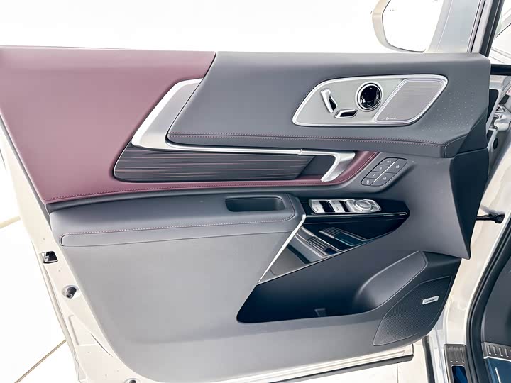 Фото 6 - Buick GL8 Century