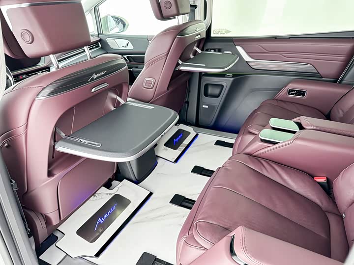 Фото 9 - Buick GL8 Century