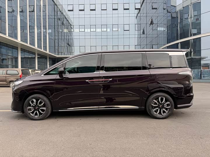 Photo 3 - Hongqi HQ9