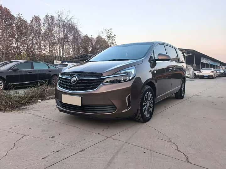 Фото 1 - Buick GL8 ES