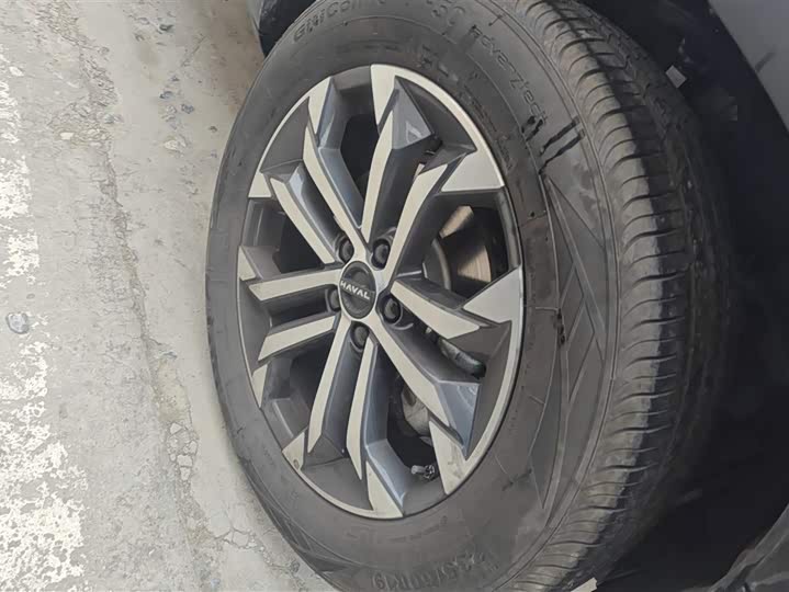 Фото 6 - Haval Dargo