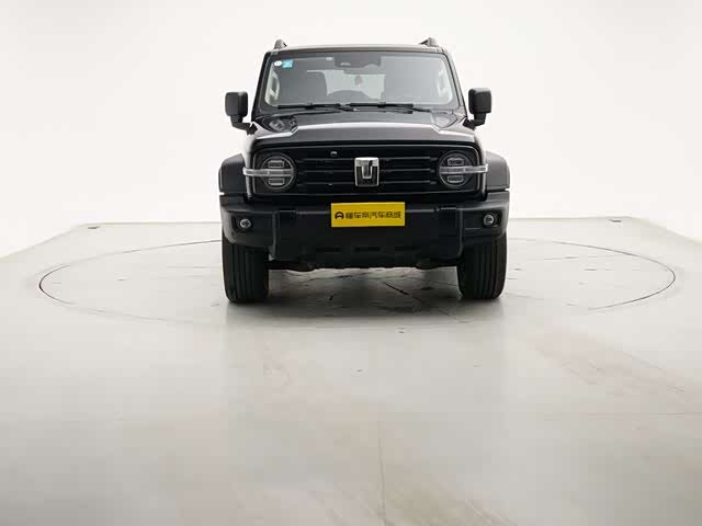 Фото 2 - Tank 300