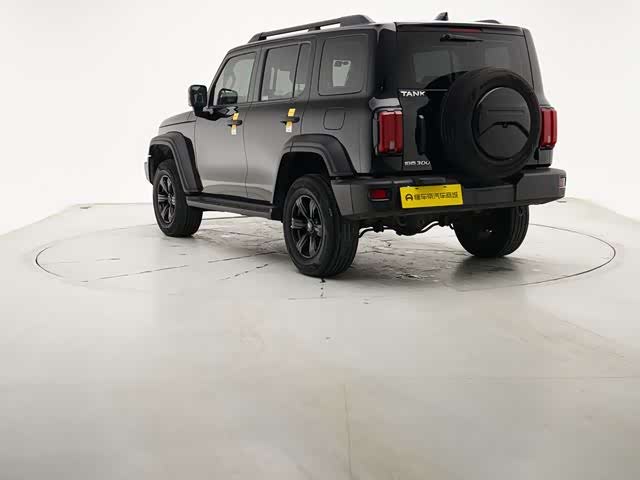 Фото 3 - Tank 300