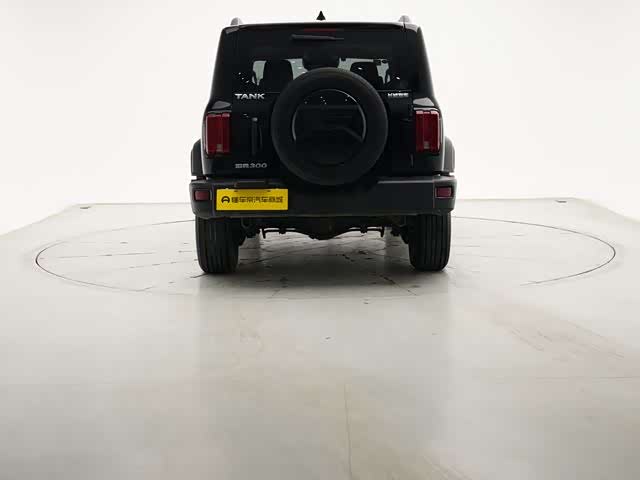 Фото 4 - Tank 300