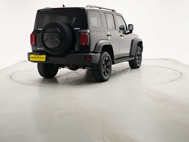 Фото 5 - Tank 300