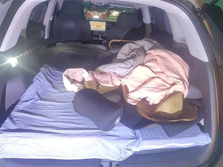 Фото 4 - BYD Sea Lion 05 EV