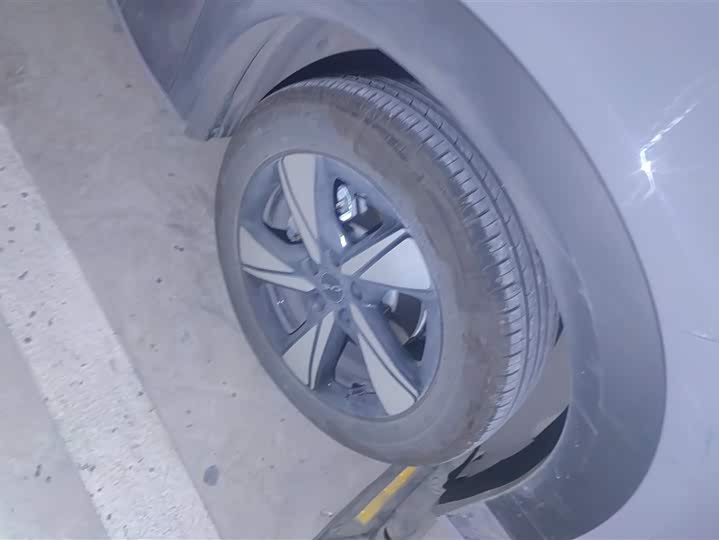 Фото 6 - BYD Sea Lion 05 EV