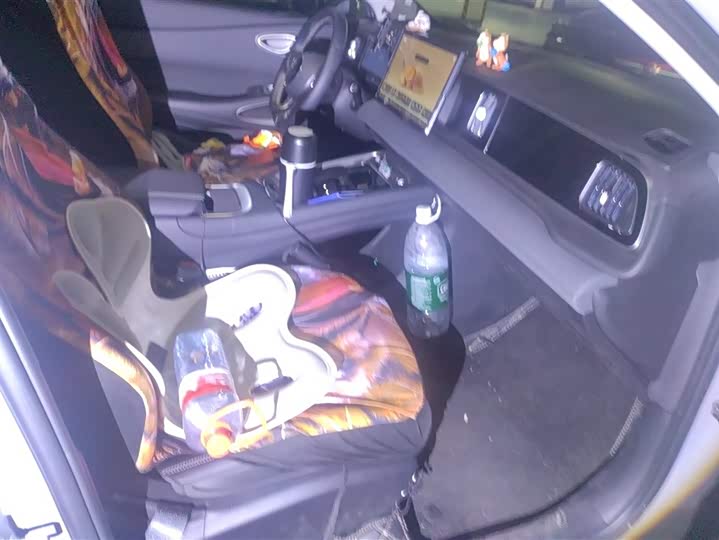 Фото 8 - BYD Sea Lion 05 EV