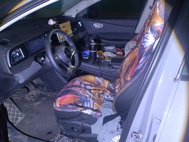 Фото 9 - BYD Sea Lion 05 EV